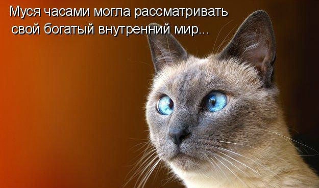������ ���))) 