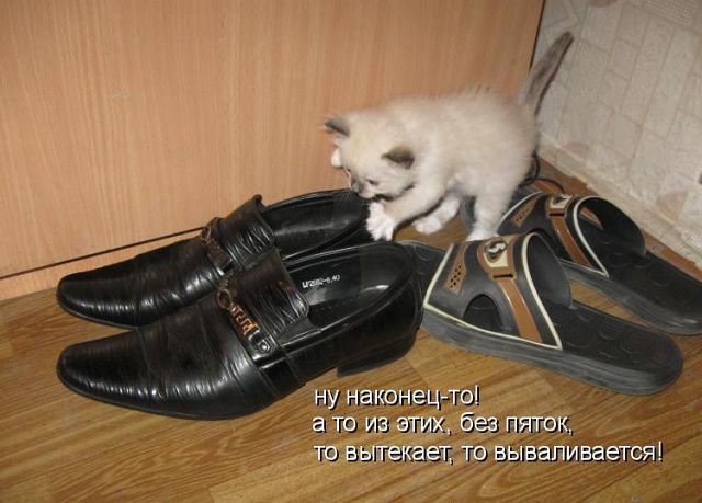 ������ ���))) 