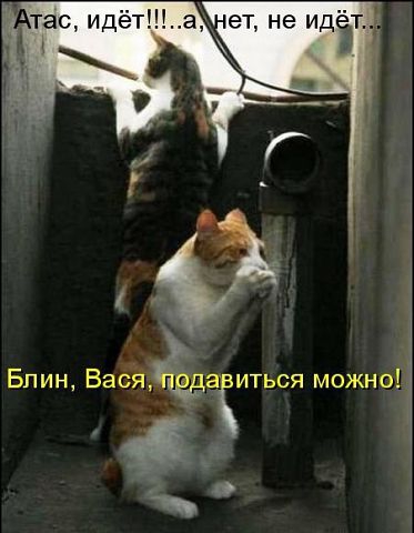 ������ ���))) 