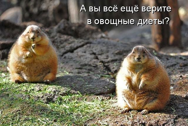 ������ ���))) 