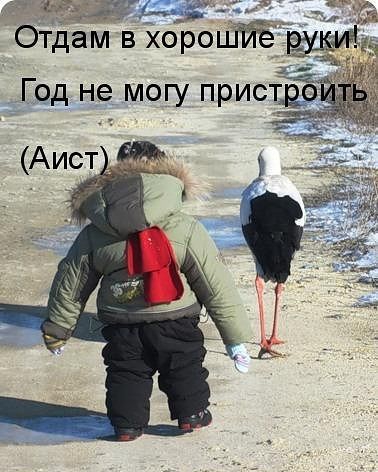 ������ ���))) 