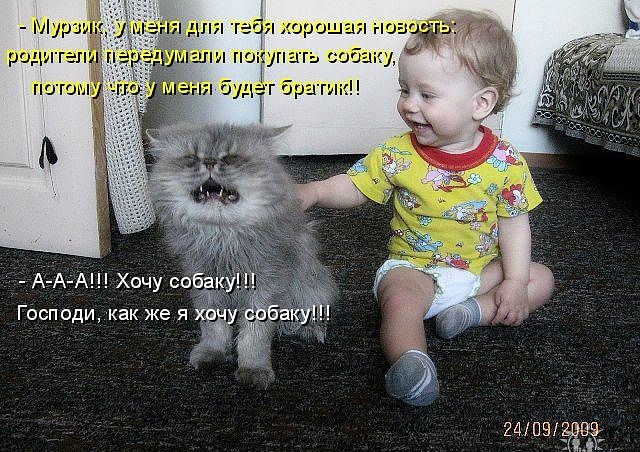 ������ ���))) 