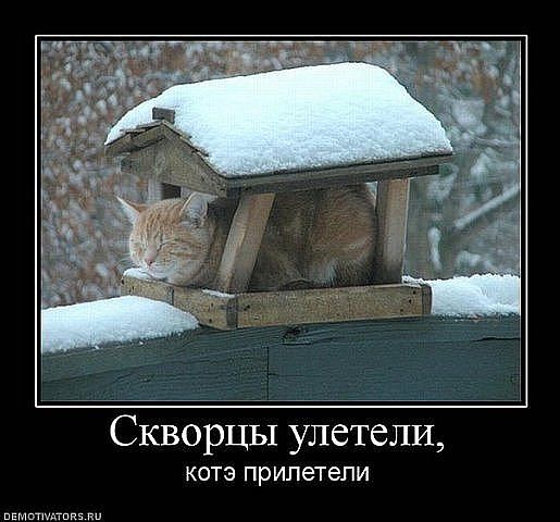 ������ ���))) 