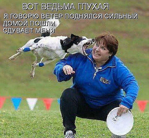 ������ ���))) 
