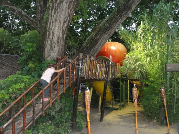 EL PARQUE DE IPODROMO DE SAN-ISIDRO 