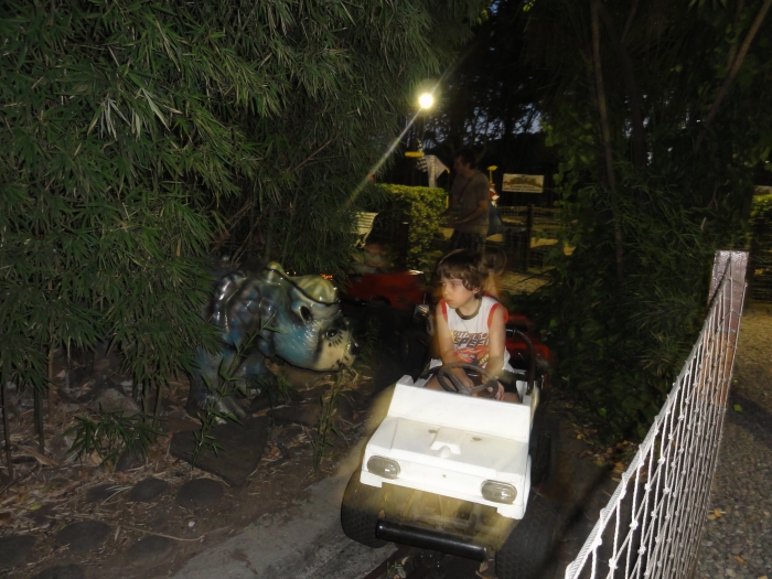 EL PARQUE DE IPODROMO DE SAN-ISIDRO 