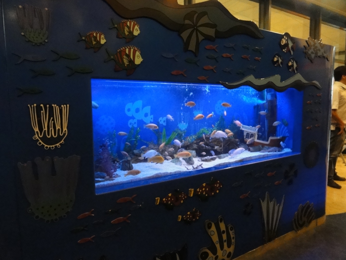 ����� ����� - CIUDAD DE LOS NINOS ����� �����
