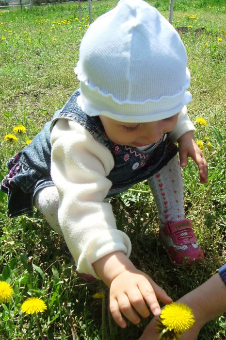 ������� ��� 2011
