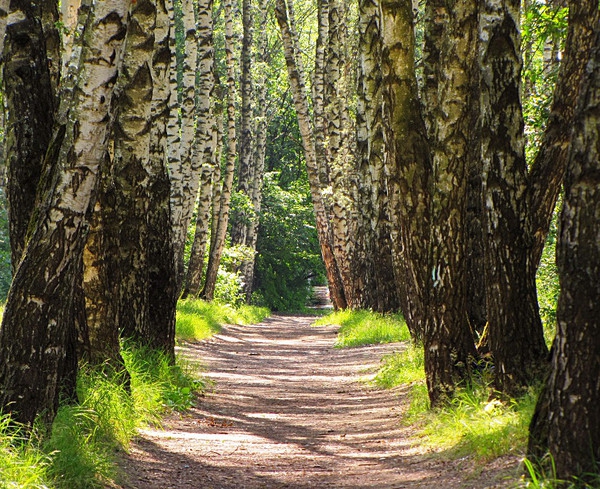 ������� ������ ���) 