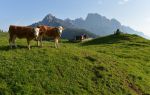      Litzlalm  ,   