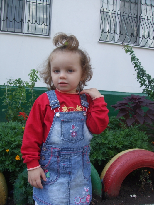���� 2012 