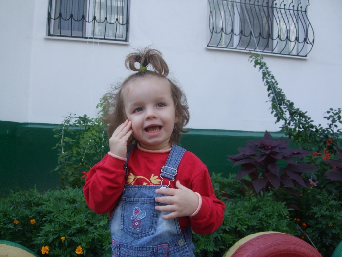 ���� 2012 