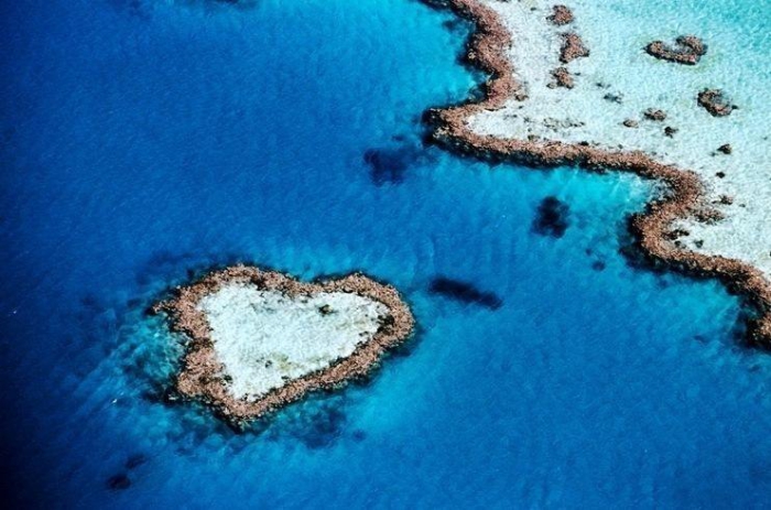 ������ ������� ���������. Aerial of Heart-Shaped Reef, Hardy Ree