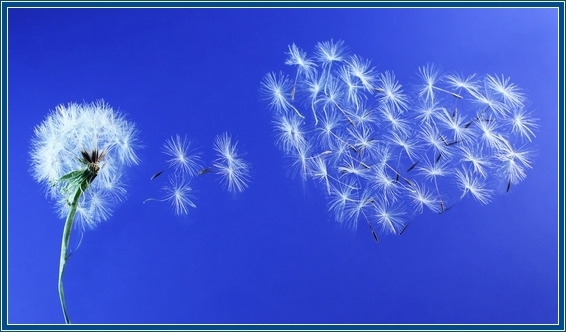 ������ ������� 