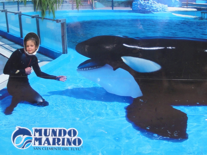MUNDO MARINO - ������� ��� 