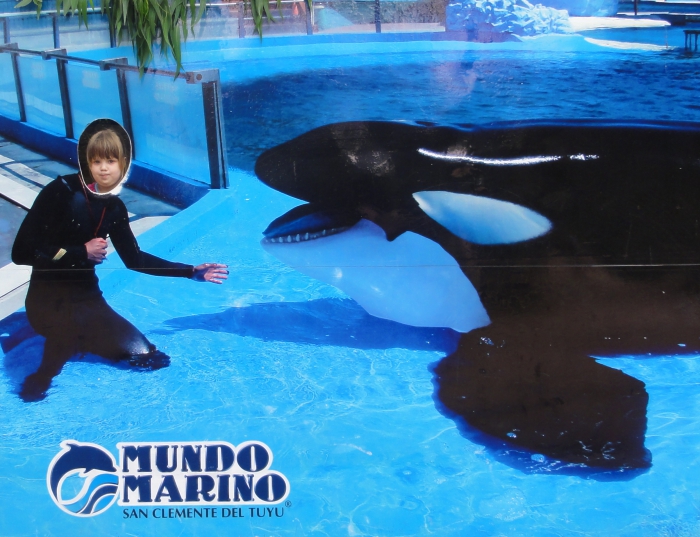 MUNDO MARINO - ������� ��� 