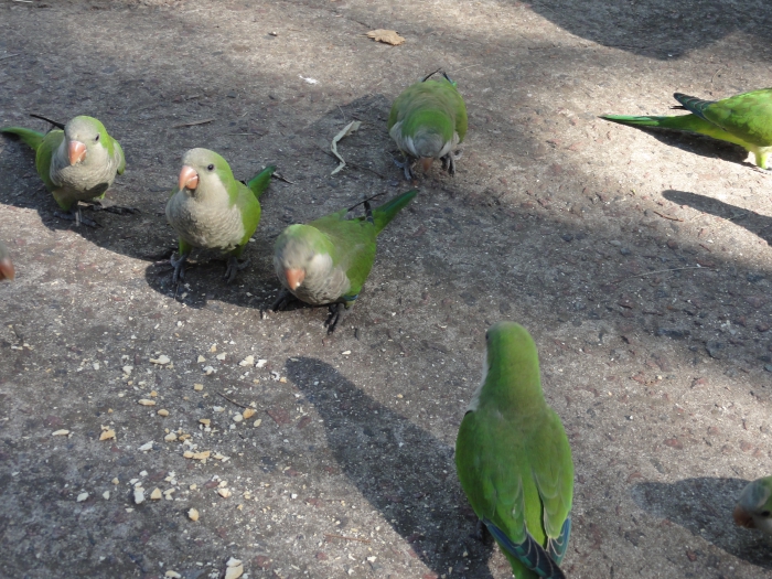 ������ � ����� 