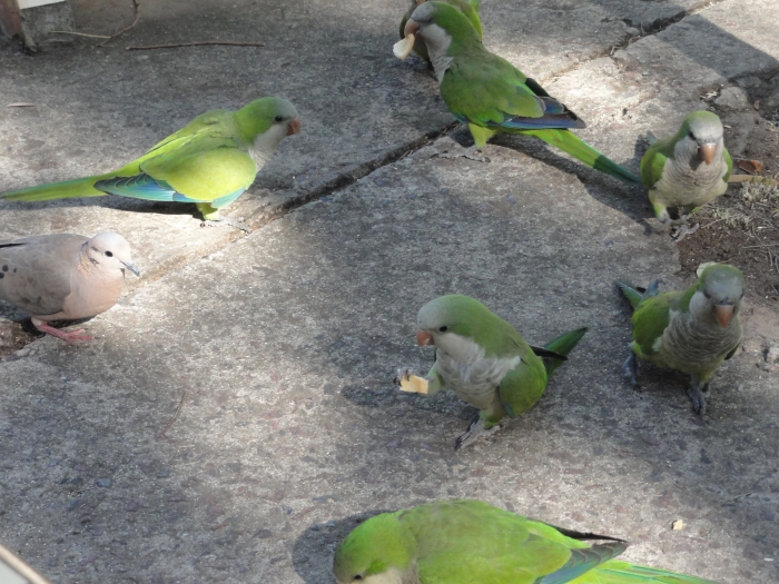 ������ � ����� 