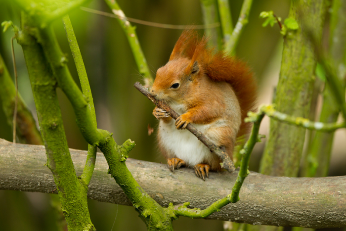 ����� ����� - �������� ��������� 