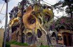    ,   Crazy House
