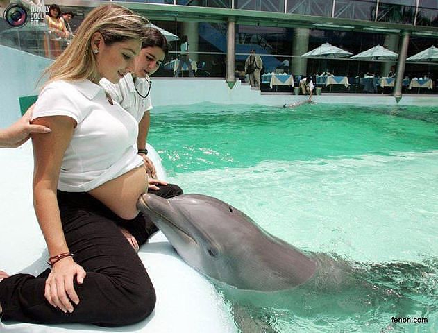 �������� ��������