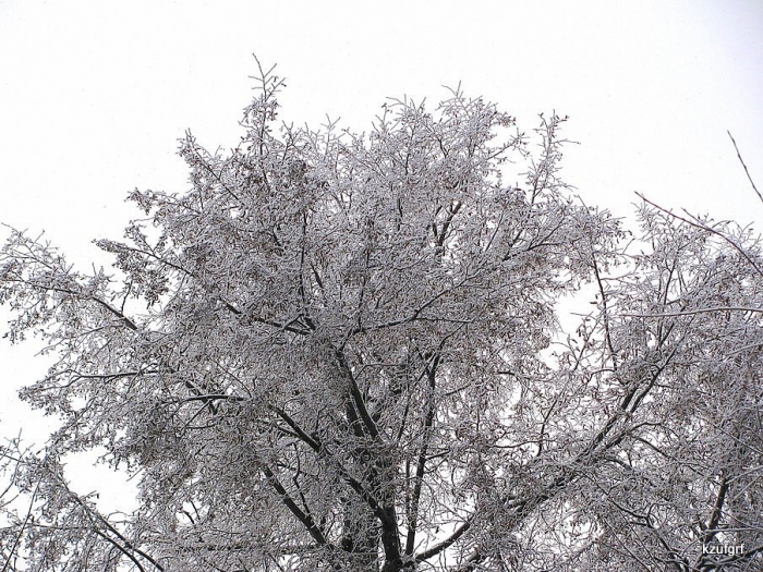 12/12/09.() 