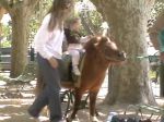 �������