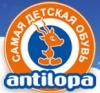 Antilopa   