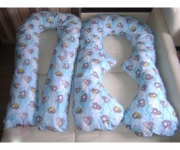 ���� ������